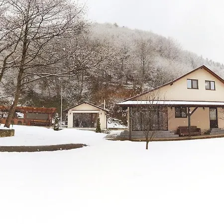 Pensiunea Tudor Holiday home Breaza (Brasov)