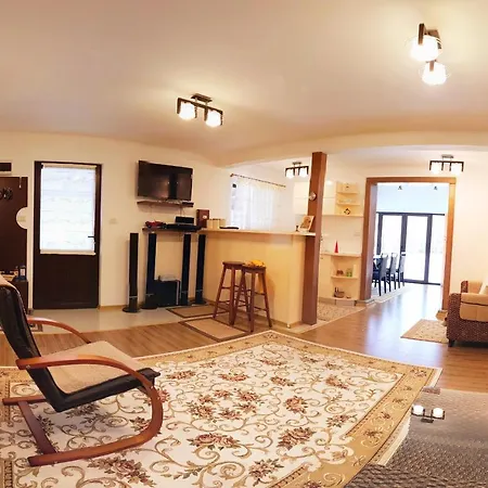 Holiday home Pensiunea Tudor