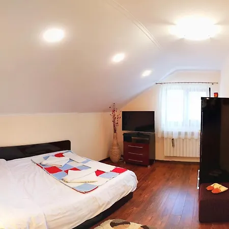 Pensiunea Tudor Holiday home