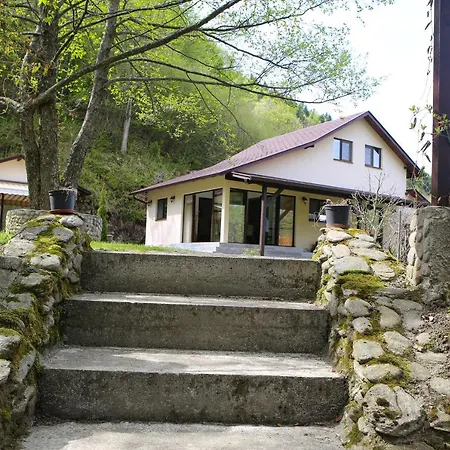 Pensiunea Tudor Breaza (Brasov)